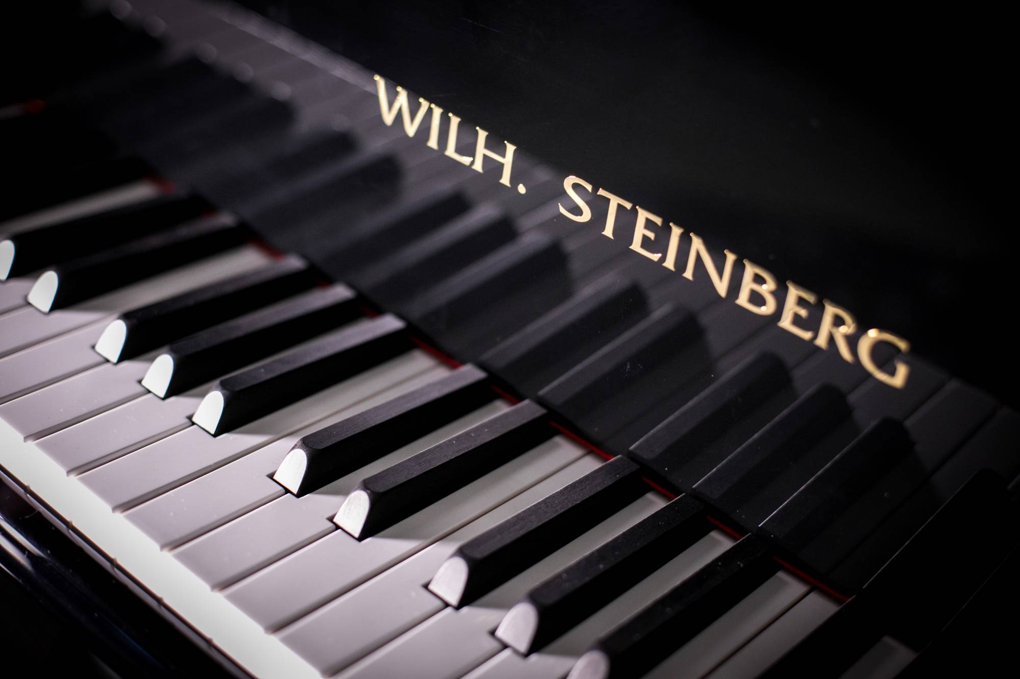 Wilh. Steinberg P178 New Acoustic German Grand Piano - Image 4