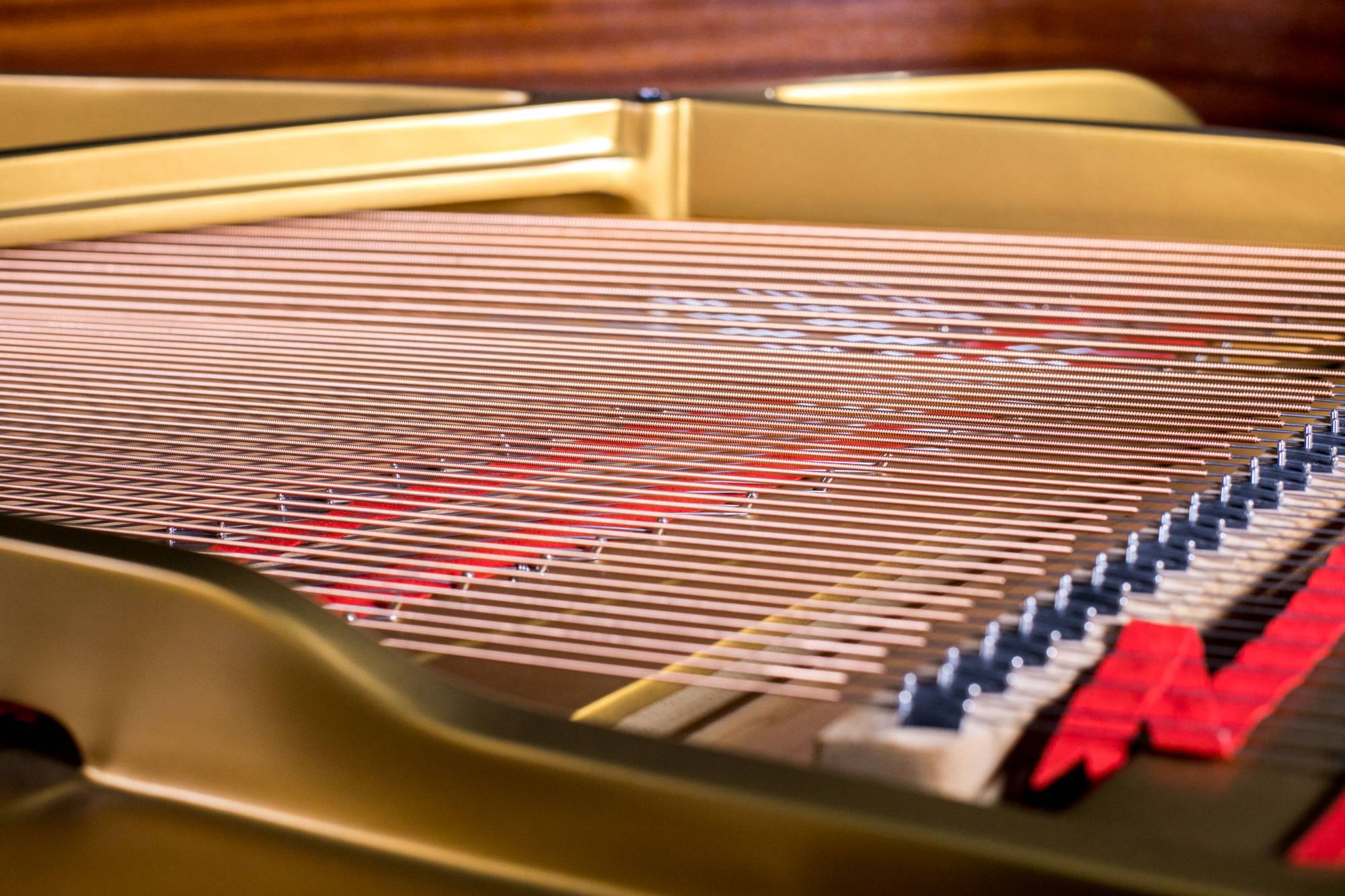 Wilh. Steinberg P178 New Acoustic German Grand Piano - Image 5