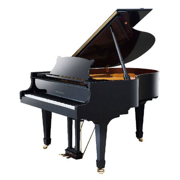 Wilh. Steinberg P178 New Acoustic German Grand Piano - Image 2