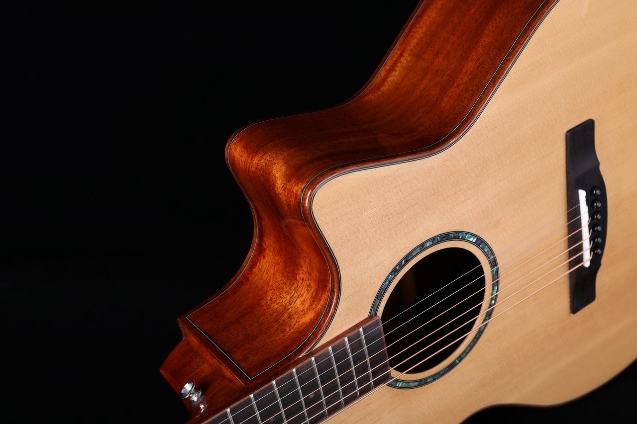 Alston D-100HCE Solid Top Acoustic Guitar - Image 4