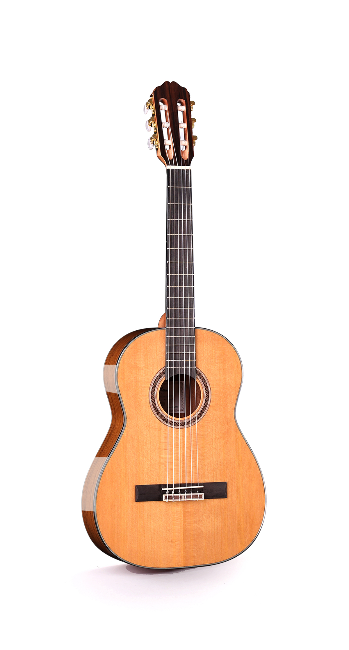 ALSTON SL-09 Classical Guitar 3/4 Size - Image 3