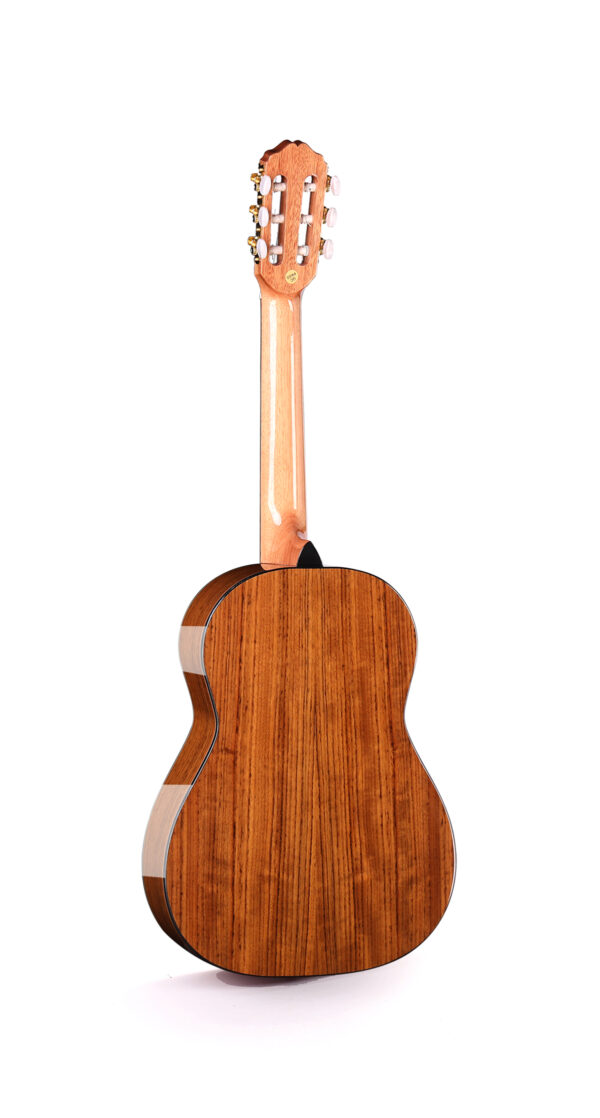 ALSTON SL-09 Classical Guitar 3/4 Size - Image 2