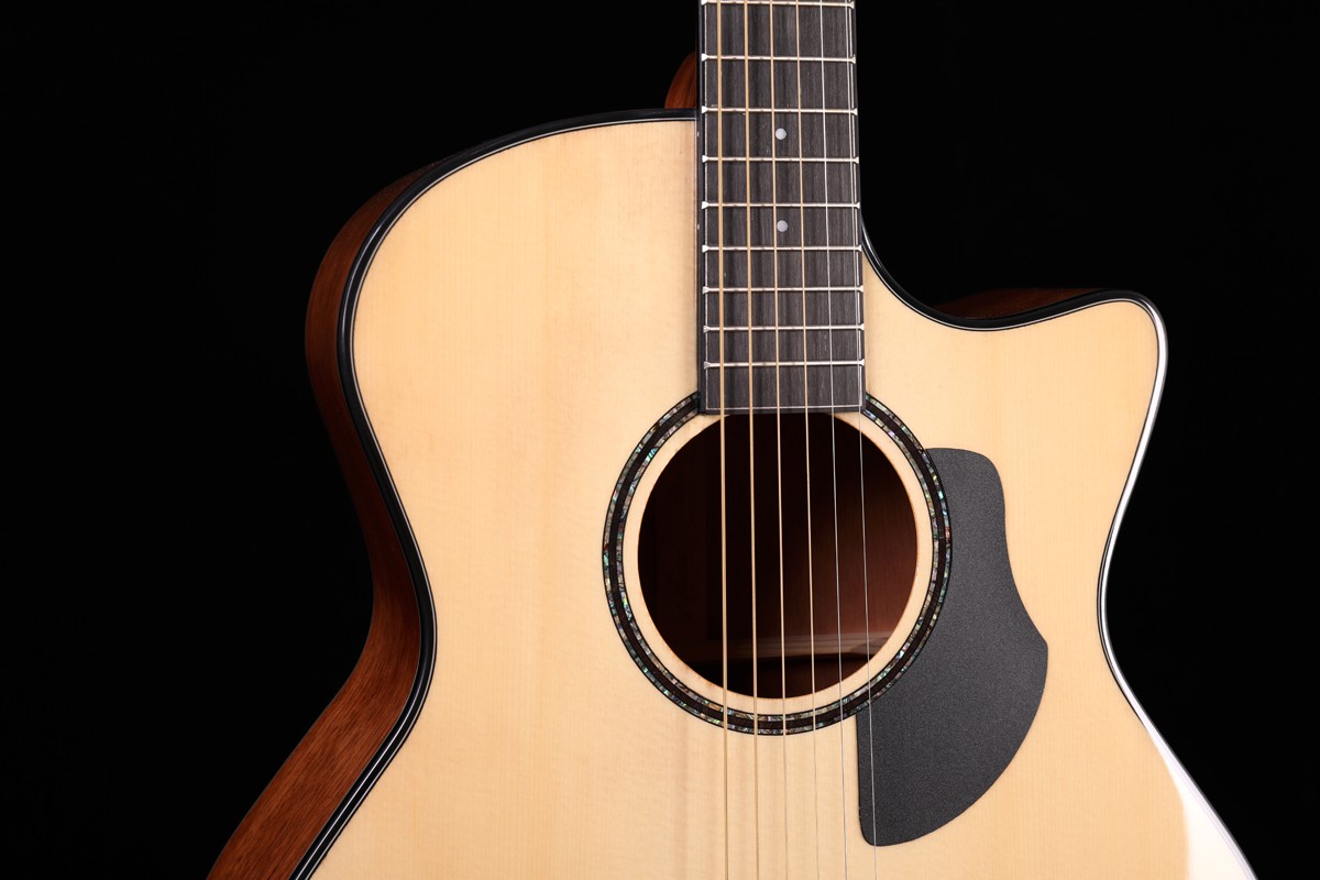 Alston SP-25G Spruce Top Grand Auditorium Acoustic Guitar - Image 12
